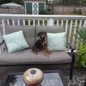 Meet your Posher, Jonica